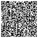 QR code with Brian Lowe's Carpet contacts