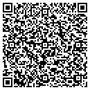 QR code with Providence tile tech contacts