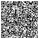 QR code with Pw Construction Inc contacts