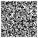 QR code with Process Services Inc contacts