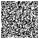 QR code with Pyramid Group LLC contacts