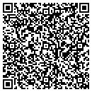 QR code with Brink Painting Service contacts