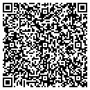 QR code with Constructive Nature contacts