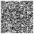 QR code with Professional Decks contacts