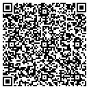 QR code with Custom Log Work Inc contacts
