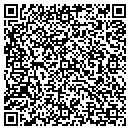 QR code with Precision Fasteners contacts