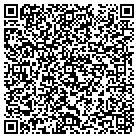 QR code with Pullman Engineering Inc contacts