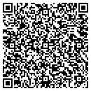 QR code with Pro Sound Electronics contacts