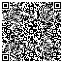 QR code with Public Works contacts