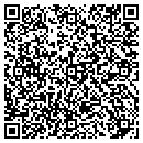QR code with Professional Elevator contacts