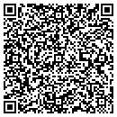 QR code with Crystal Falls contacts