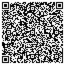 QR code with Pts Industial contacts