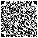 QR code with Precision Power Inc contacts