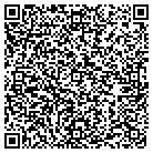 QR code with Bricks And Minifigs LLC contacts