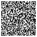 QR code with Shell contacts