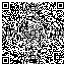 QR code with Clear View Of Nevada contacts