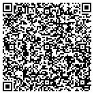 QR code with Plum Windows And Doors contacts