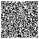 QR code with Pro Sport Floors Inc contacts