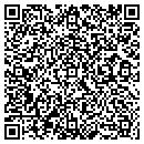 QR code with Cyclone Spray Foamers contacts