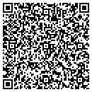 QR code with Premier Modular contacts
