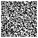 QR code with Chapman Stone & Nursery contacts
