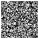 QR code with Public Door Systems contacts