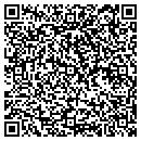 QR code with Purlin Mill contacts