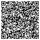 QR code with Premier Pallet contacts