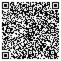 QR code with Timber contacts