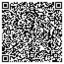 QR code with Premier Properties contacts