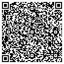 QR code with Premier Drywall Inc contacts