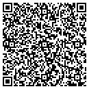 QR code with Pristine Pavers contacts