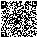 QR code with Regjay contacts