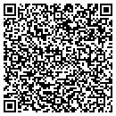 QR code with Pro Level Plus contacts