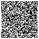 QR code with Cameron Stone Masonry contacts