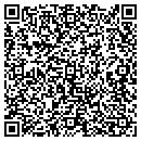 QR code with Precision Stone contacts
