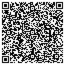 QR code with Colt Properties Inc contacts