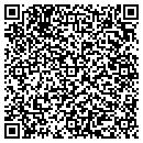 QR code with Precision Pointing contacts