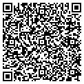 QR code with Stoddco contacts