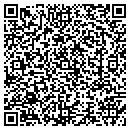 QR code with Chaney Custom Homes contacts