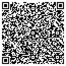QR code with colortek painting llc. contacts