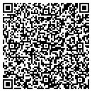 QR code with Pyramid Painting contacts