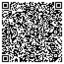 QR code with Professional Coatings contacts