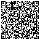 QR code with Carter Custom Painting LLC contacts