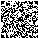 QR code with Professionally Dunn contacts
