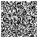 QR code with Pwws Inc contacts