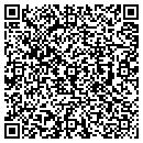 QR code with Pyrus Energy contacts