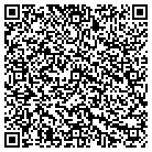 QR code with Pulsar Eco Products contacts
