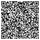QR code with Bristol Bay Electronics contacts