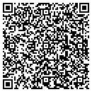 QR code with C J S Industries Inc contacts